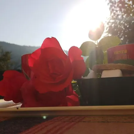 Vikend Kuca Careva Cuprija-apartman * Olovo (Zenica-Doboj)