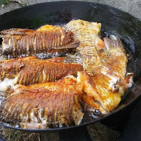 Vikend Kuca Careva Cuprija-apartman Prázdninový dům *