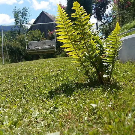 Vikend Kuca Careva Cuprija-apartman * Olovo (Zenica-Doboj)