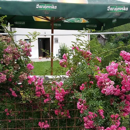 Prázdninový dům Vikend Kuca Careva Cuprija-apartman *