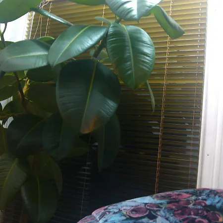 Vikend Kuca Careva Cuprija-apartman