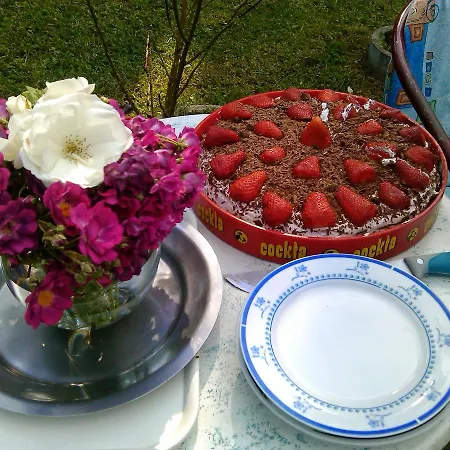 Vikend Kuca Careva Cuprija-apartman *