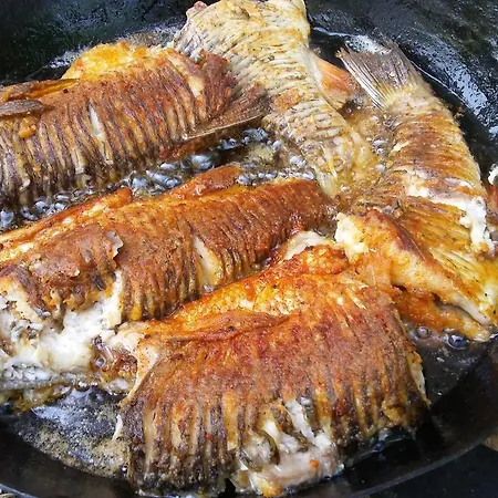 Vikend Kuca Careva Cuprija-apartman * Olovo (Zenica-Doboj)