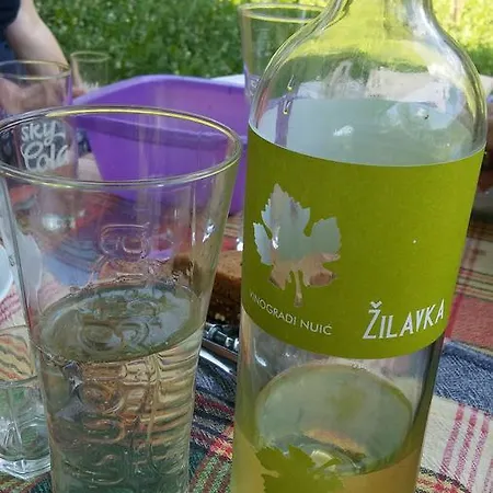 Vikend Kuca Careva Cuprija-apartman Prázdninový dům Olovo (Zenica-Doboj)