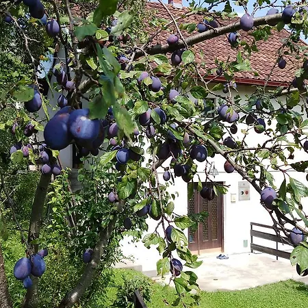 Vikend Kuca Careva Cuprija-apartman * Olovo (Zenica-Doboj)