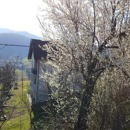 Vikend Kuca Careva Cuprija-apartman Prázdninový dům *