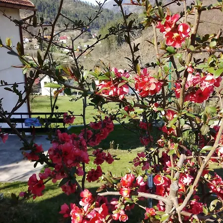 Vikend Kuca Careva Cuprija-apartman Prázdninový dům